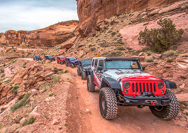 Jeeps on the trail